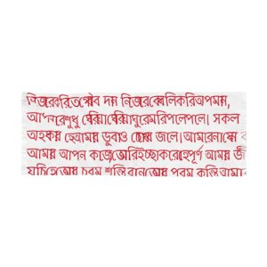 Red and White Tagore, Gitanjali Poem 1 Scarf